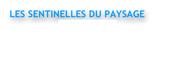 LES SENTINELLES DU PAYSAGE 
Réalisation : Laurent Lutaud
Diffusion Ushuaïa TV
Extrait 4 mn 

Sony PXW Z100 