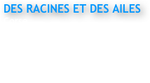 DES RACINES ET DES AILES 
Corse
Réalisation : Hélène Frandon 
France 3
Extrait  11 mn

Sony HDCAM PDW 800 
                                                                                                                                                                                