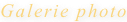 shapeimage_18_link_4