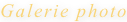 shapeimage_9_link_4