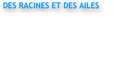 DES RACINES ET DES AILES 
Le rêve de Gaudi                                                                                
Réalisation : Hélène Frandon
France 3
Extrait 4 mn 

Sony HDCAM PDW 800, Microdolly
